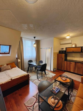 Cosy studio in the city centre